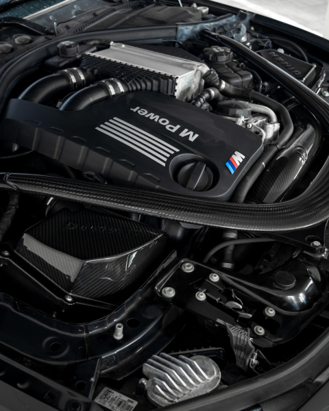 Dinan Cold Air Intake BMW M2/M3/M4 S55